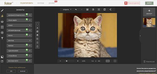 Fotor. Fotor коллаж. Fotor дизайн фото. Fotor photo Editor.