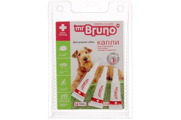 Mr.Bruno Green Guard