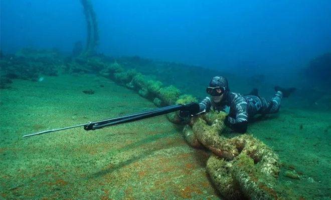 Лучшие подводные ружья