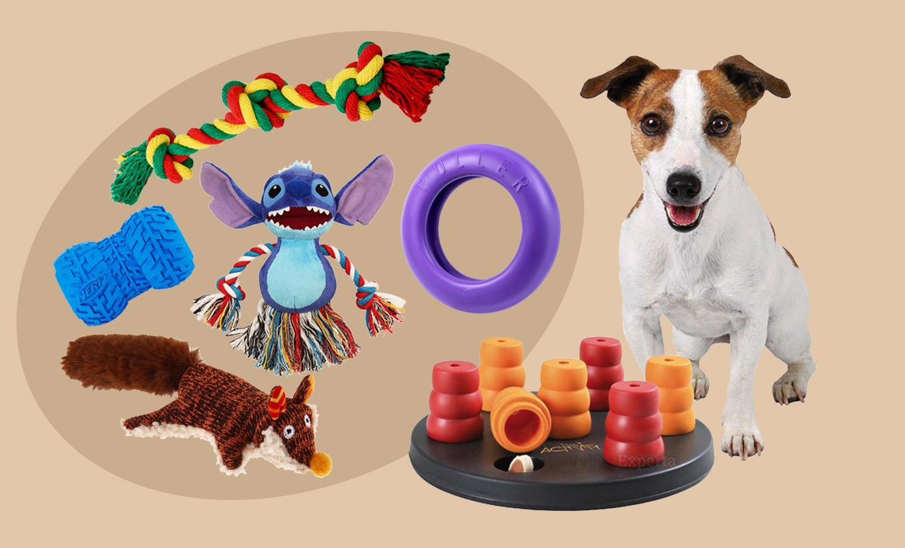 самые интересные игрушки для собак