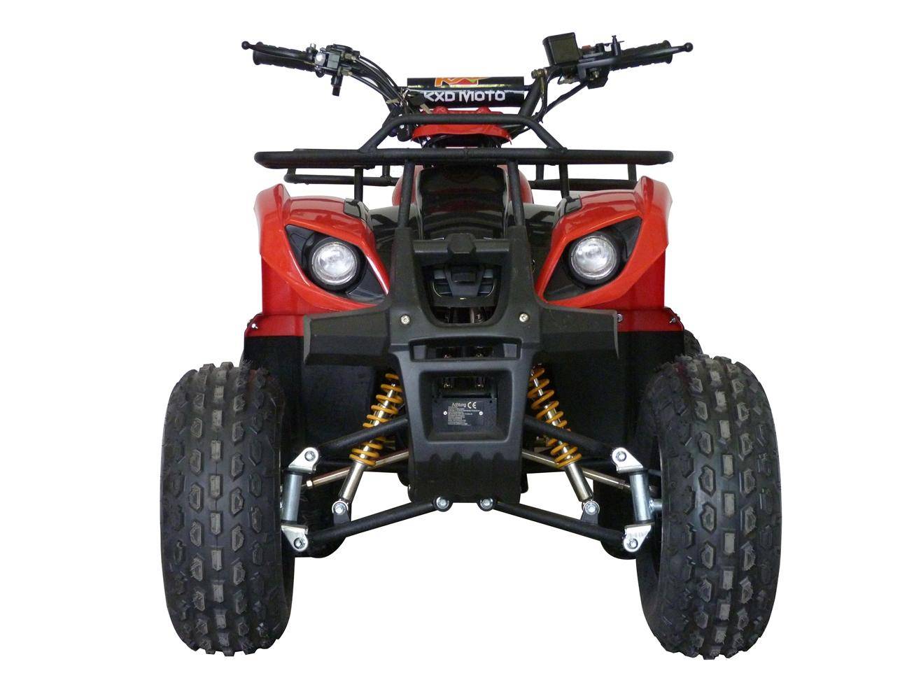 Детский квадроцикл казань. Irbis atv 125. Квадроцикл Irbis atv 125. Ирбис АТВ 125. MOTAX Gekkon 1300w