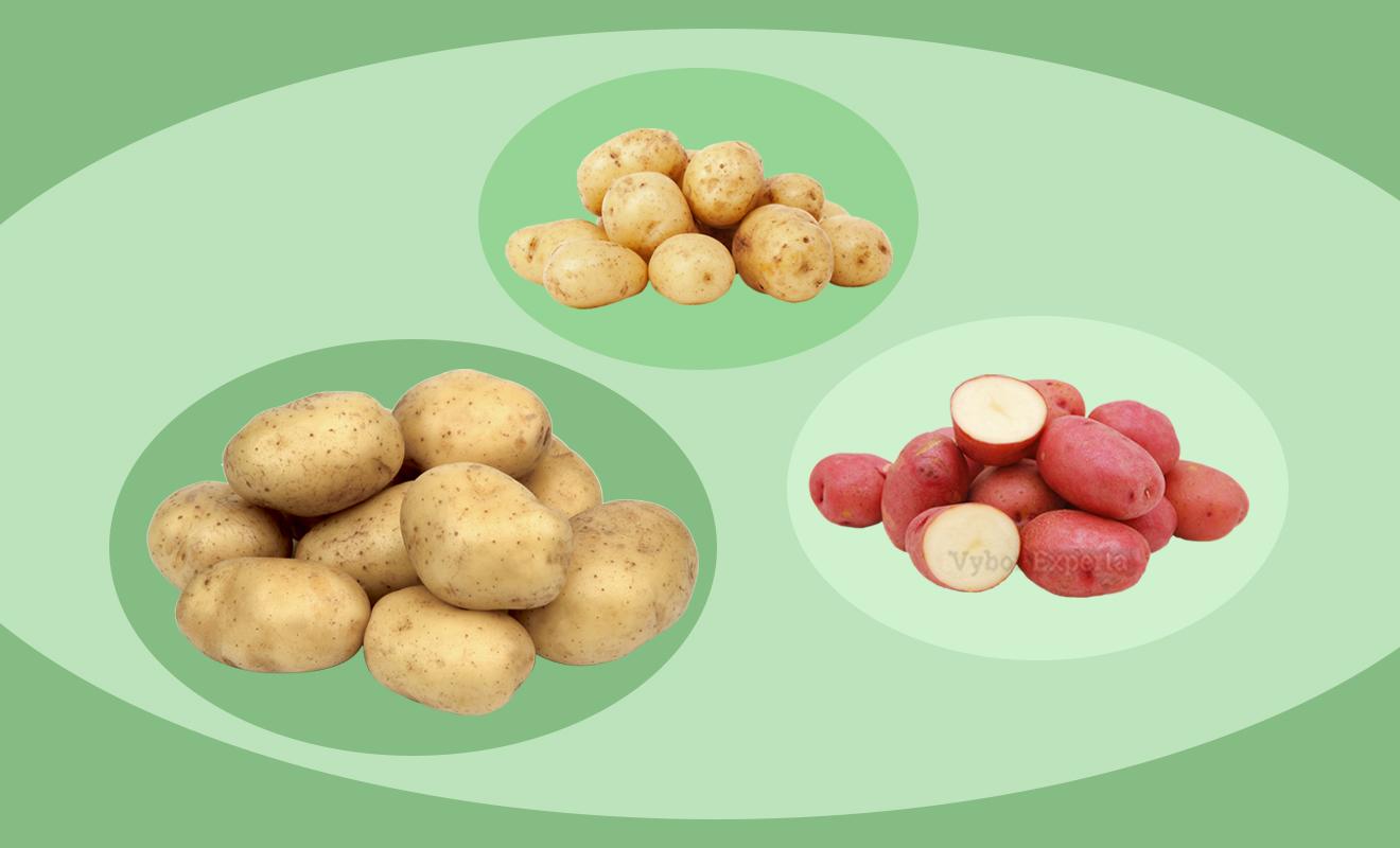Топ-10 самых вкусных сортов картофеля в Украине