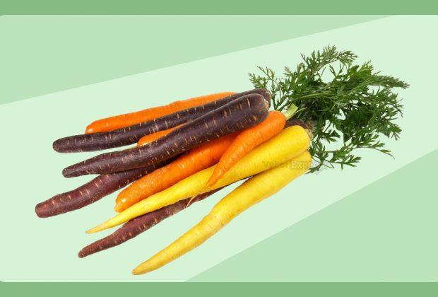 Сорта моркови для подмосковья