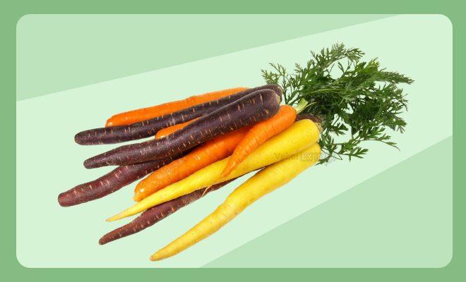 Сорта моркови для подмосковья