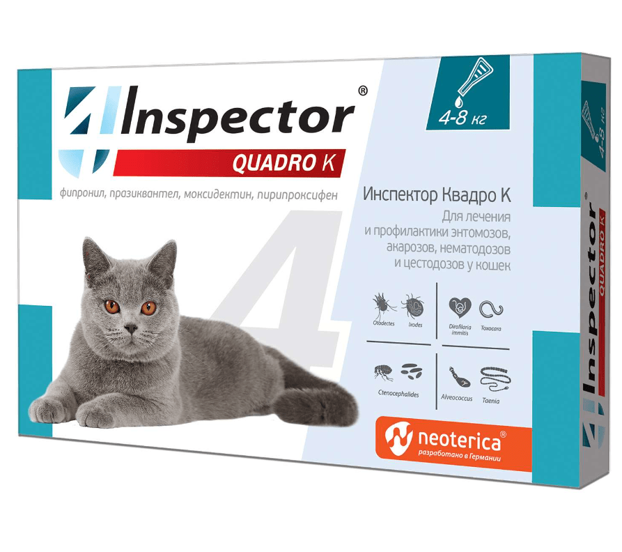 Inspector Quadro К