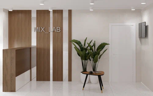  Mix_lab