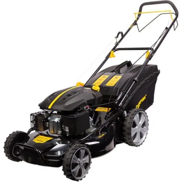 Champion LM5345