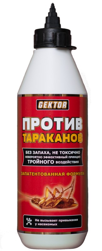 Gektor
