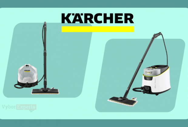 Лучшие пароочистители Karcher