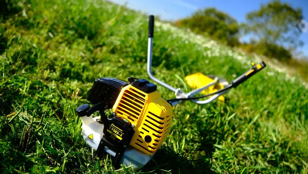 Лучшие триммеры Champion для кошения травы 2025 года — рейтинг эксперта