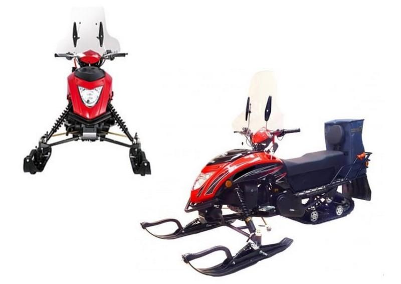 REGULMOTO Raccoon