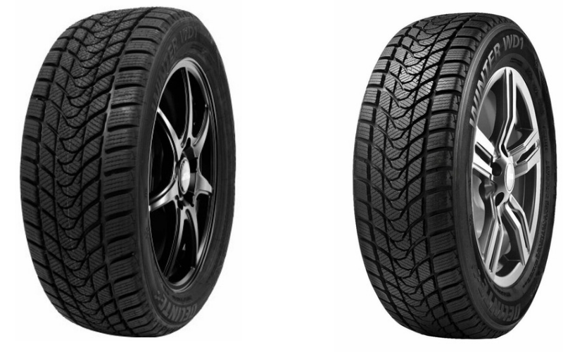Delinte Winter WD1
