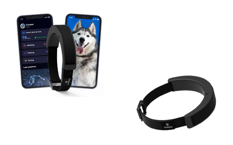 Invoxia Smart Dog Collar