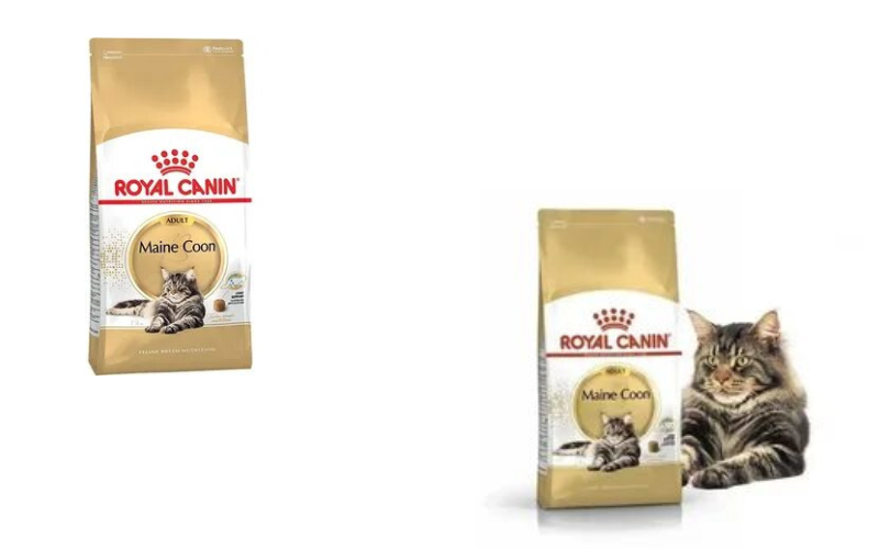Royal Canin Maine Coon Adult