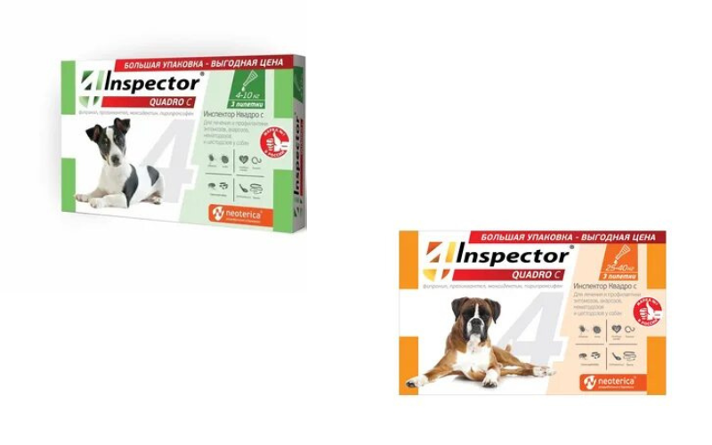 Inspector Quadro