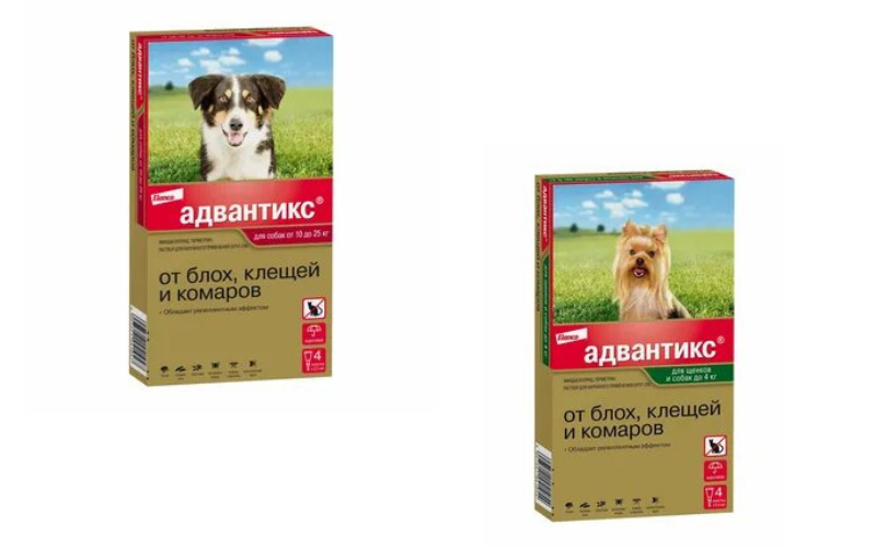 Адвантикс