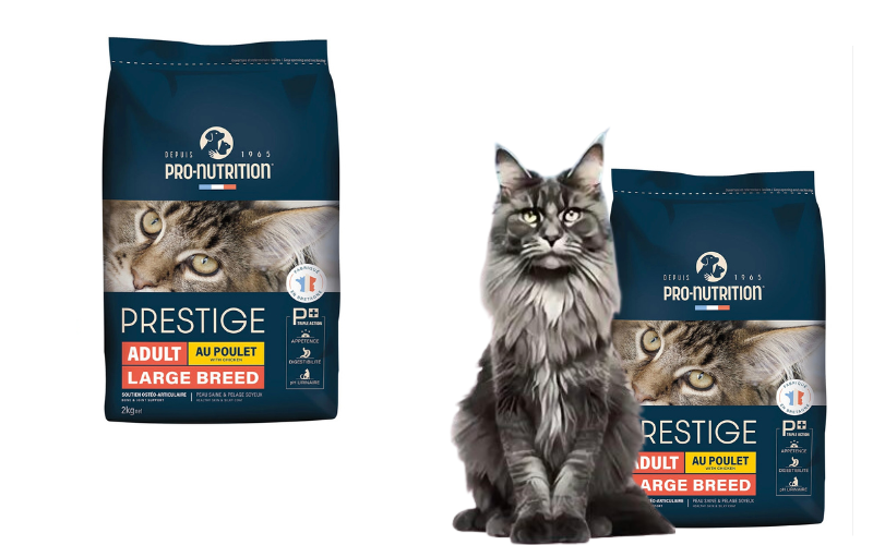 Pro-Nutrition Flatazor Prestige Adult Large Breed