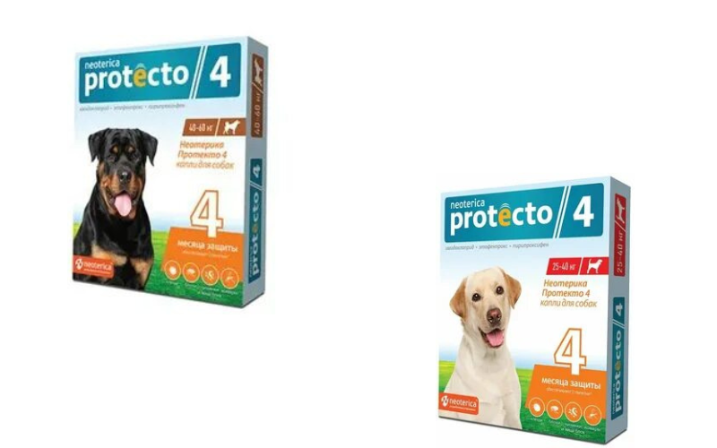 Протекто 4
