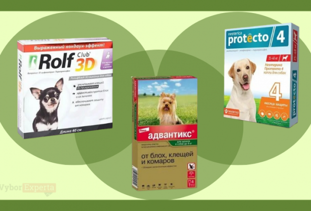 Лучшие капли от клещей для собак на весну 2026 года Лучшие капли от клещей для собак