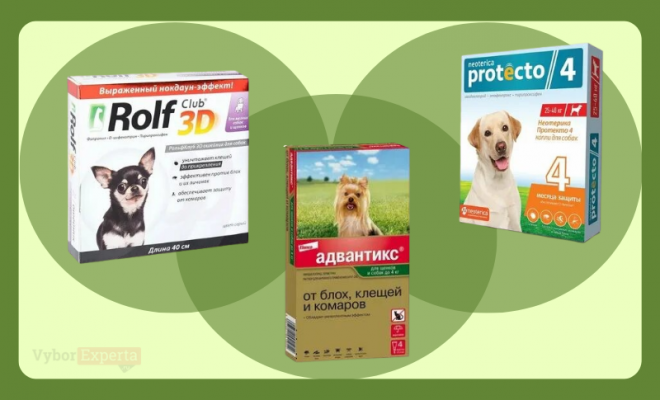 Лучшие капли от клещей для собак на весну 2026 года Лучшие капли от клещей для собак