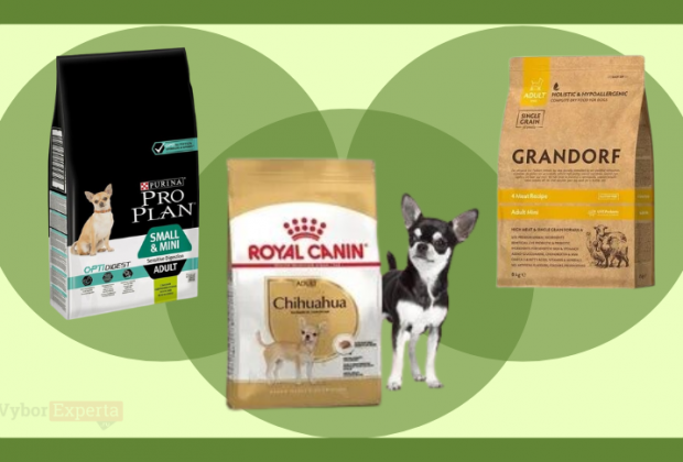 Лучшие сухие корма для чихуахуа 2026 года Лучшие сухие корма для чихуахуа
