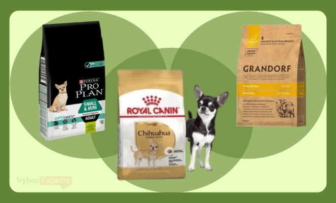 Лучшие сухие корма для чихуахуа 2026 года Лучшие сухие корма для чихуахуа
