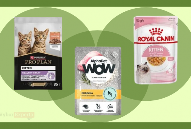 Рейтинг лучших влажных кормов для котят 2026 года Лучшие влажные корма для котят