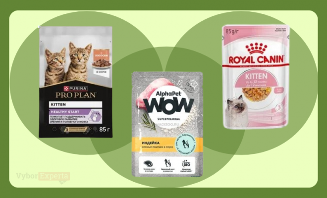 Рейтинг лучших влажных кормов для котят 2026 года Лучшие влажные корма для котят