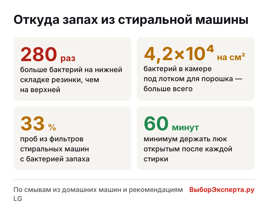 Как убрать запах из стиральной машины: где копятся бактерии — низ резинки, камера лотка, фильтр